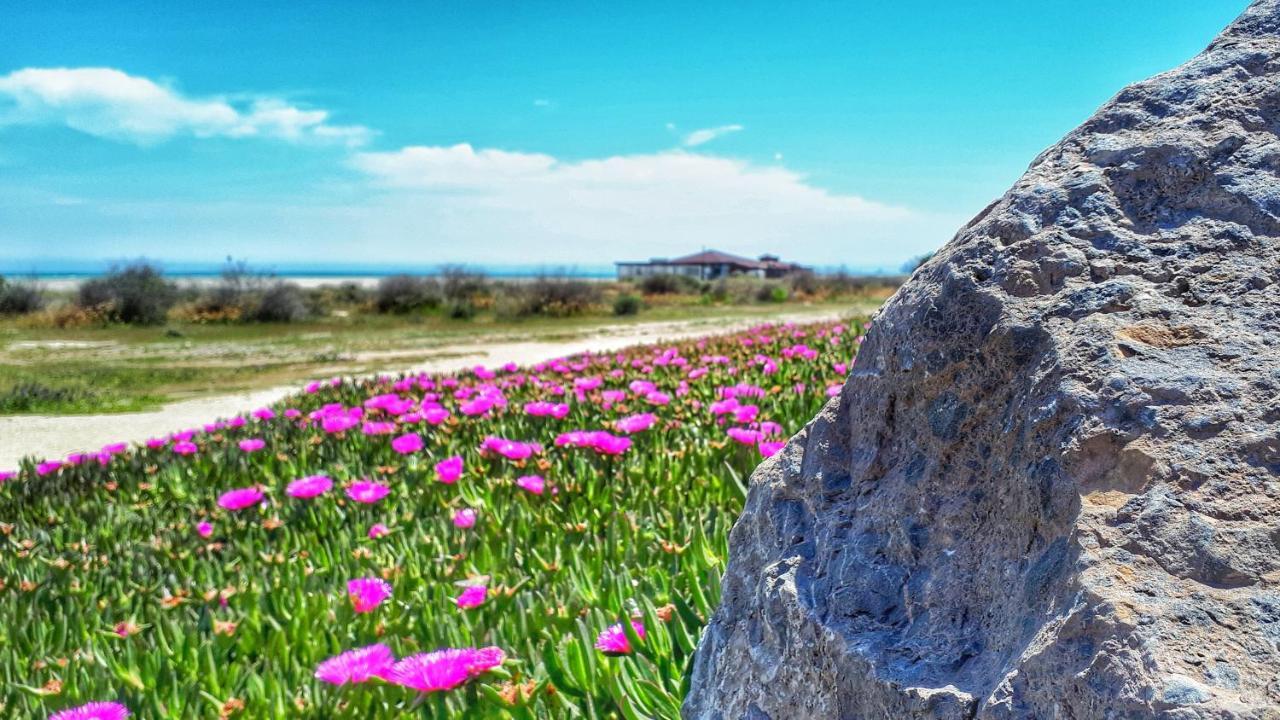 Appartamento Atico Pinar De Garrucha Con Vistas Al Mar-Gran Terraza Esterno foto